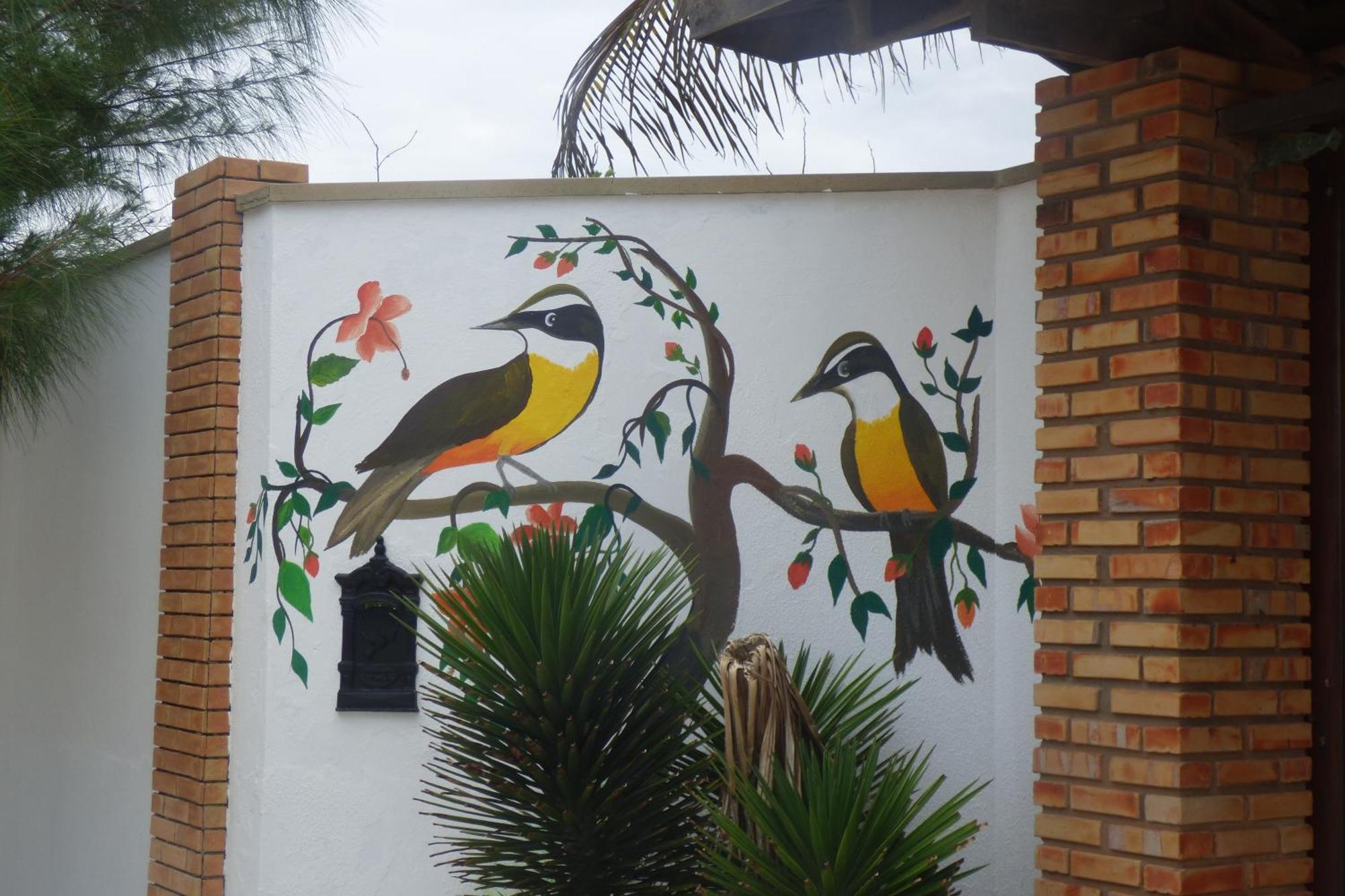 A Toca Do Bem-Te-Vi Hotel Águas Belas Buitenkant foto