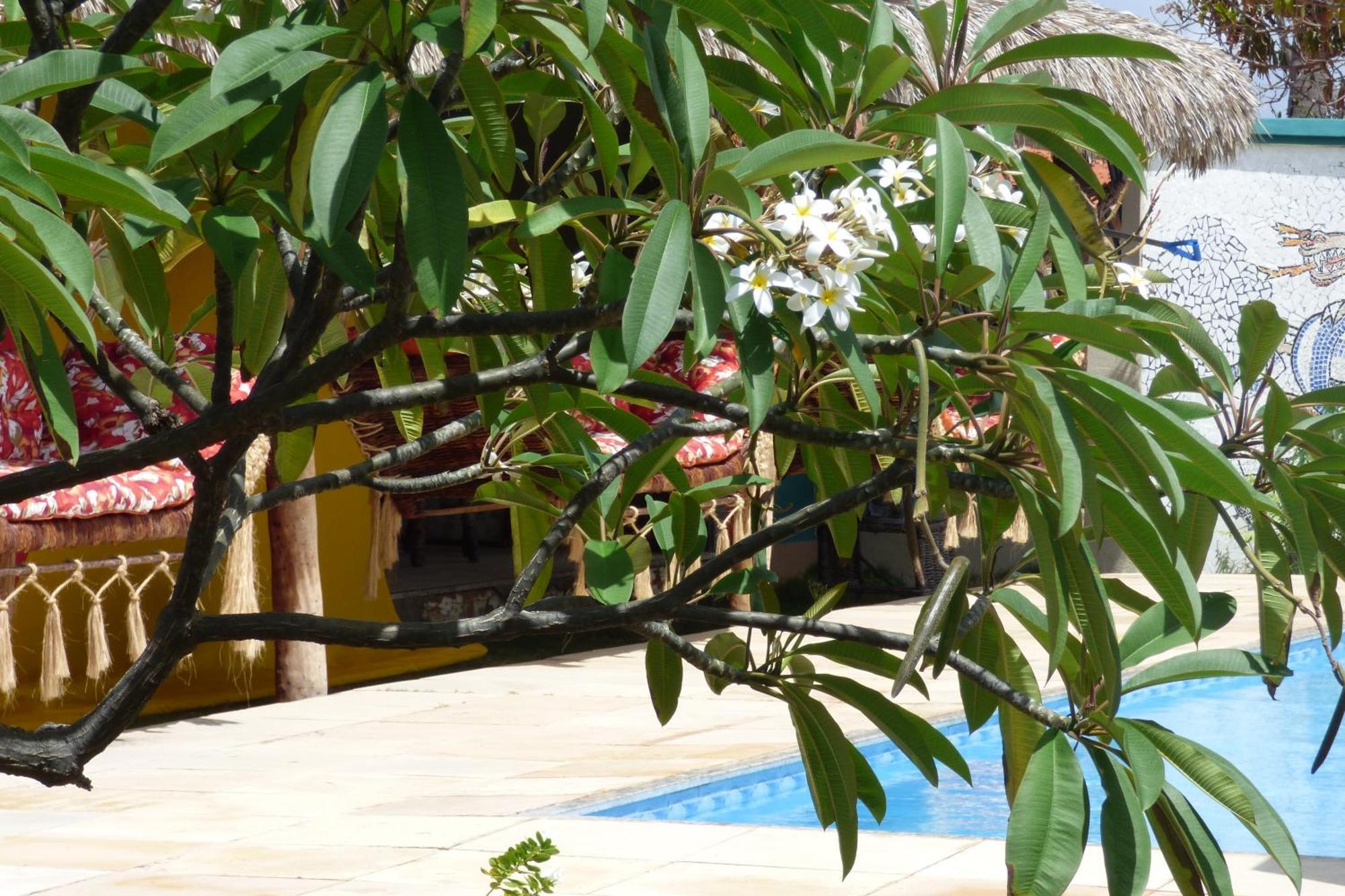A Toca Do Bem-Te-Vi Hotel Águas Belas Buitenkant foto